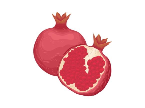 A Visual Symphony: The Charm of Pomegranate Summer Vector