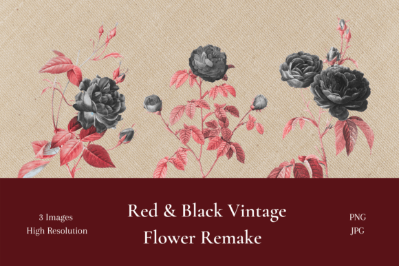 Vintage Floral Remake: Red & Black Art for Creative Projects