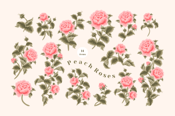 Vintage Peach Garden Rose Clipart Set for Creative Projects